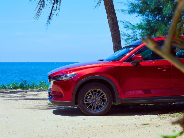 Experience Antigua’s Stunning Natural Wonders on the Perfect Road Trip for U.S. Tourists